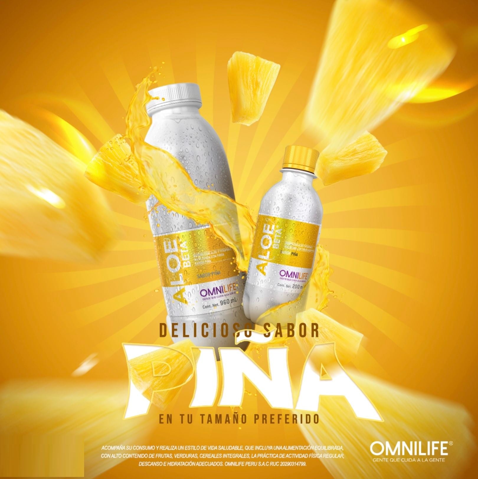 ALOE PIÑA – TU SISTEMA DIGESTIVO TE LO VA A AGRADECER (200ml) Six Pack